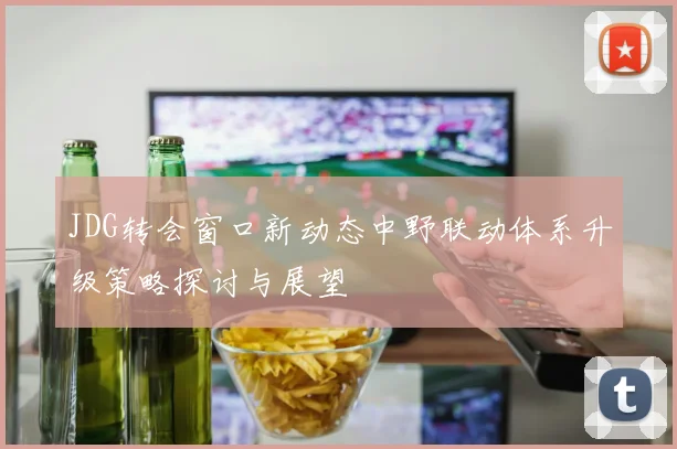JDG转会窗口新动态中野联动体系升级策略探讨与展望